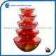 5-Piece Set Glass Easy Find Lids Food Storage Container